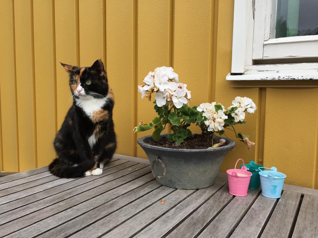 Köpingsvik Hagaborg Bed & Breakfast מראה חיצוני תמונה